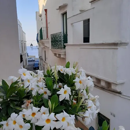 Fiore Frühstückspension Gallipoli