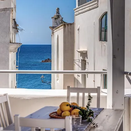 B&B Fiore