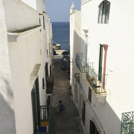 Fiore 3* 갈리폴리